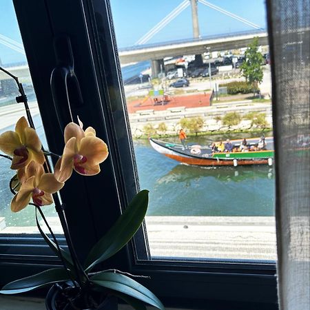 Flamingo Apartment 阿威罗 外观 照片