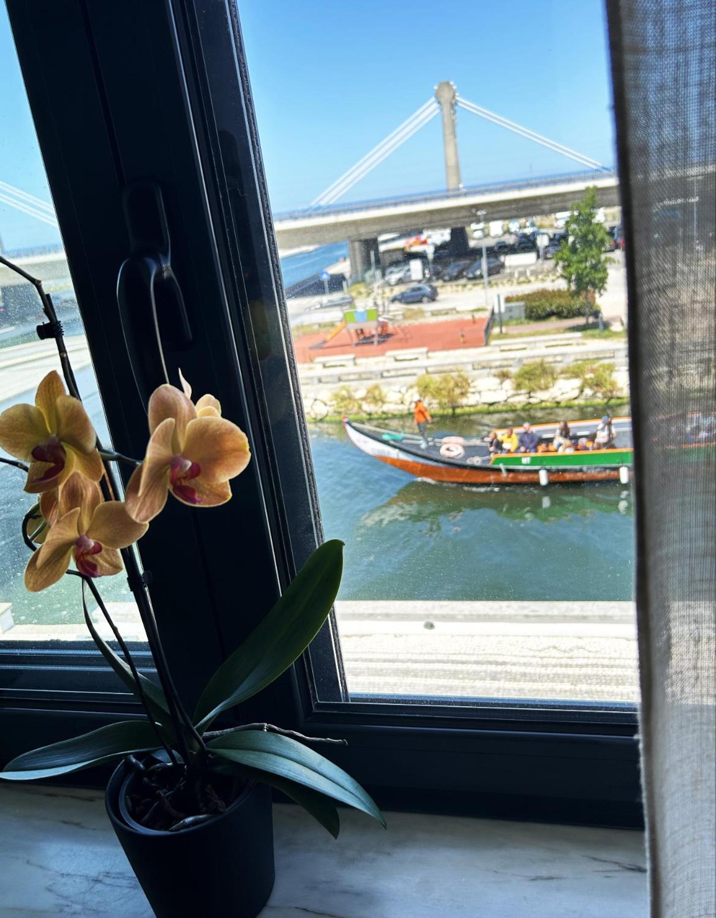 Flamingo Apartment 阿威罗 外观 照片